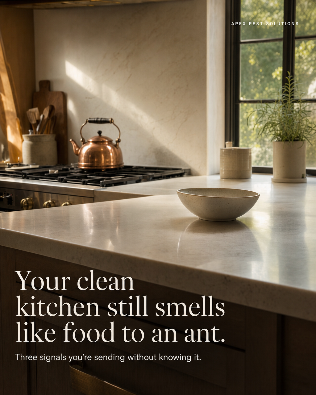 Your clean kitchen still smells like food to an ant.