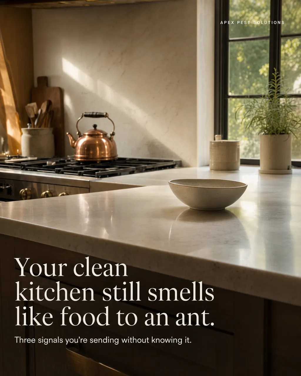 Pest control carousel hook slide reading: your clean kitchen still smells like food to an ant