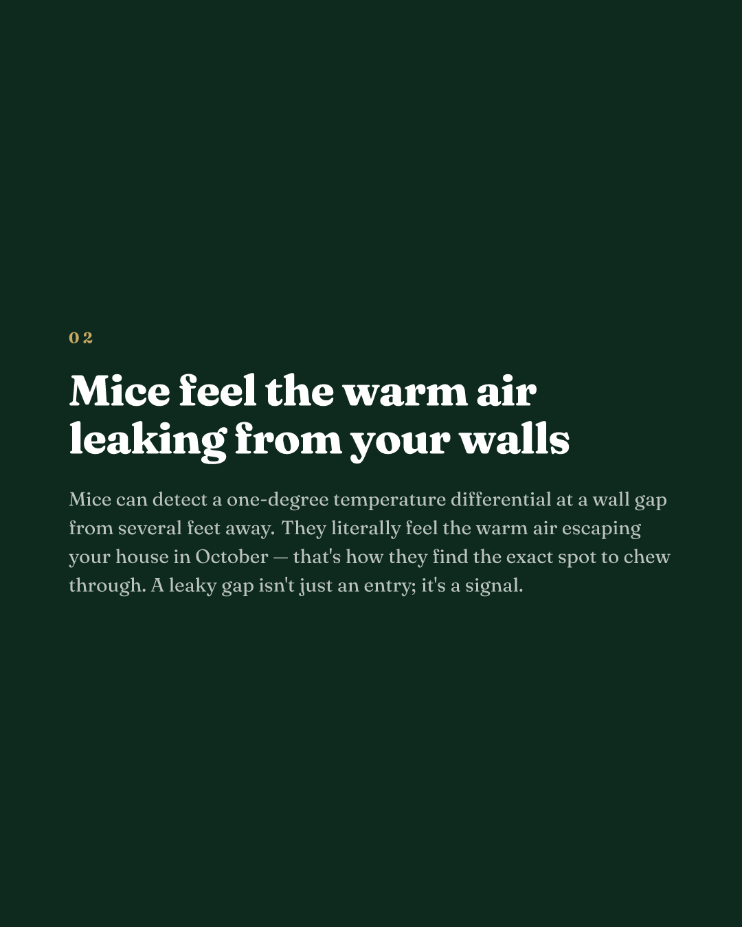 Mice feel the warm air leaking from your walls