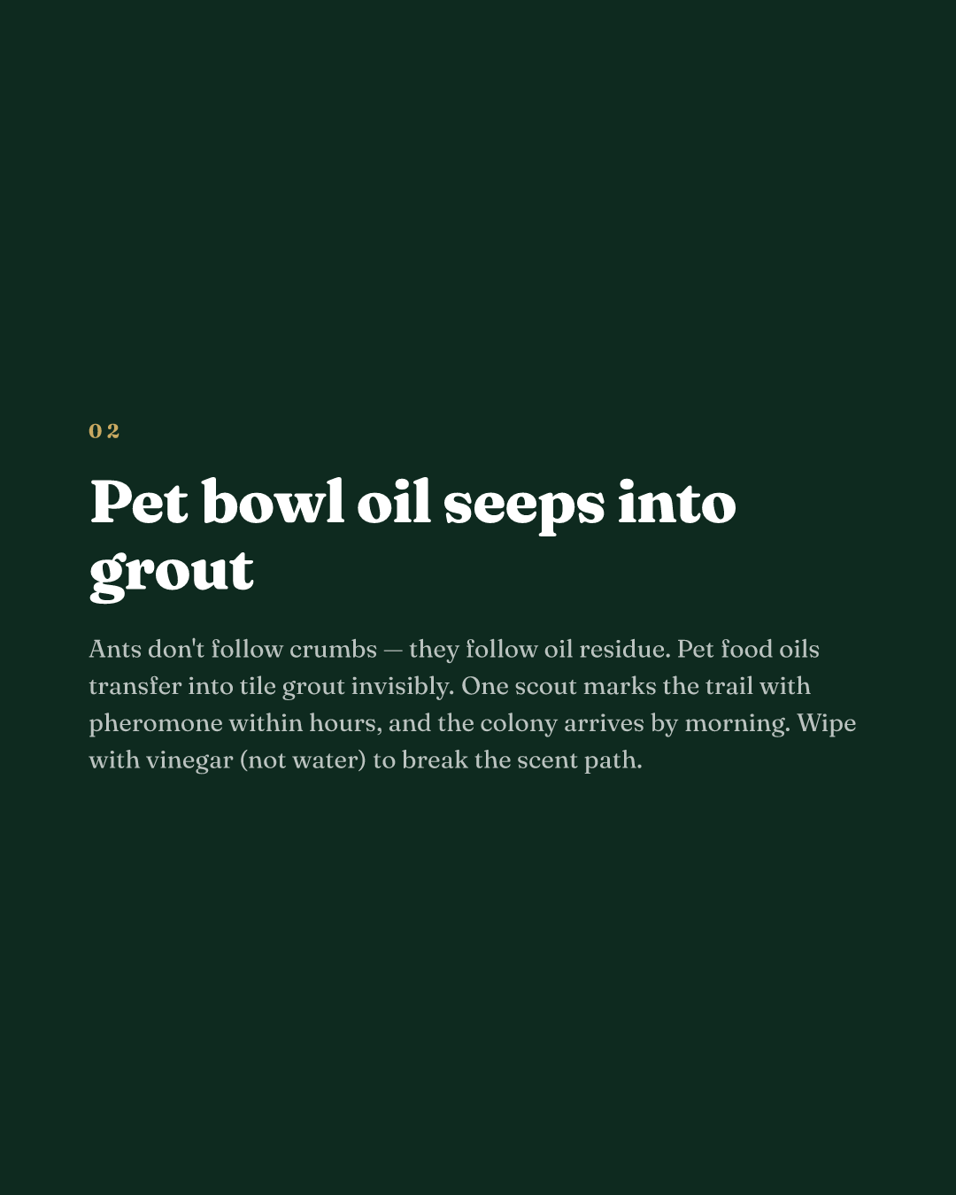 Pet bowl oil seeps into grout