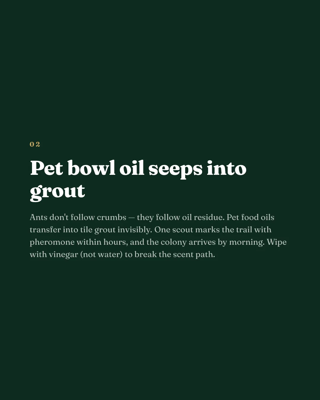 Pest control carousel slide explaining how pet bowl oil seeps into tile grout and attracts ants