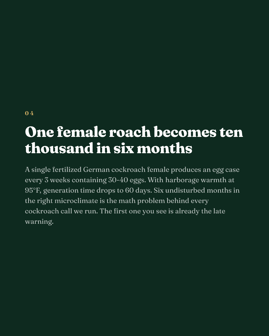 One female roach becomes ten thousand in six months