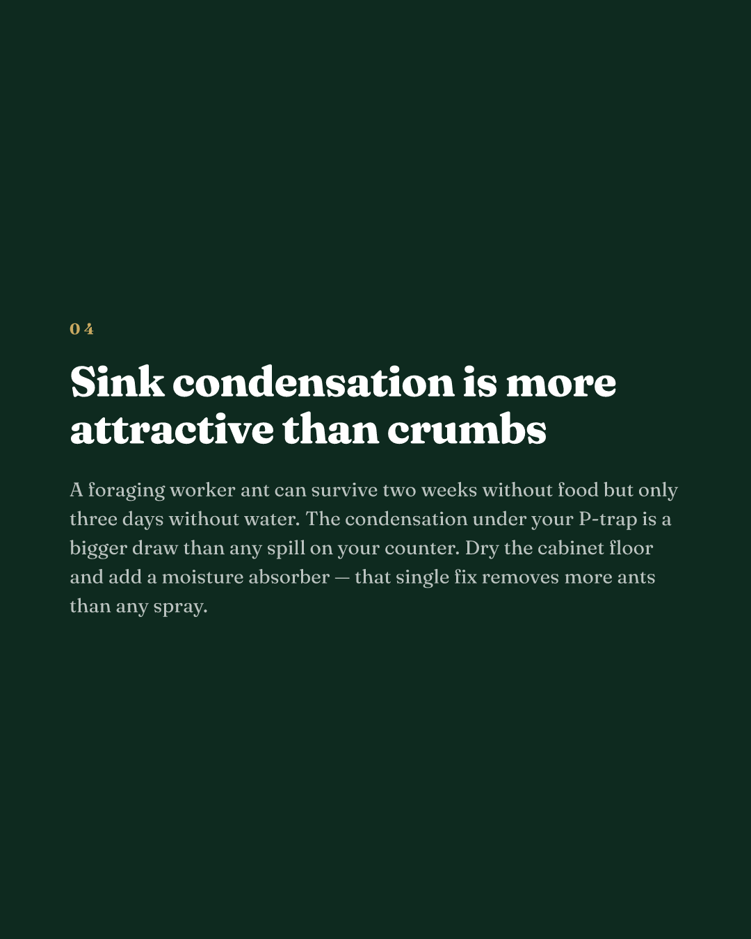 Sink condensation is more attractive than crumbs