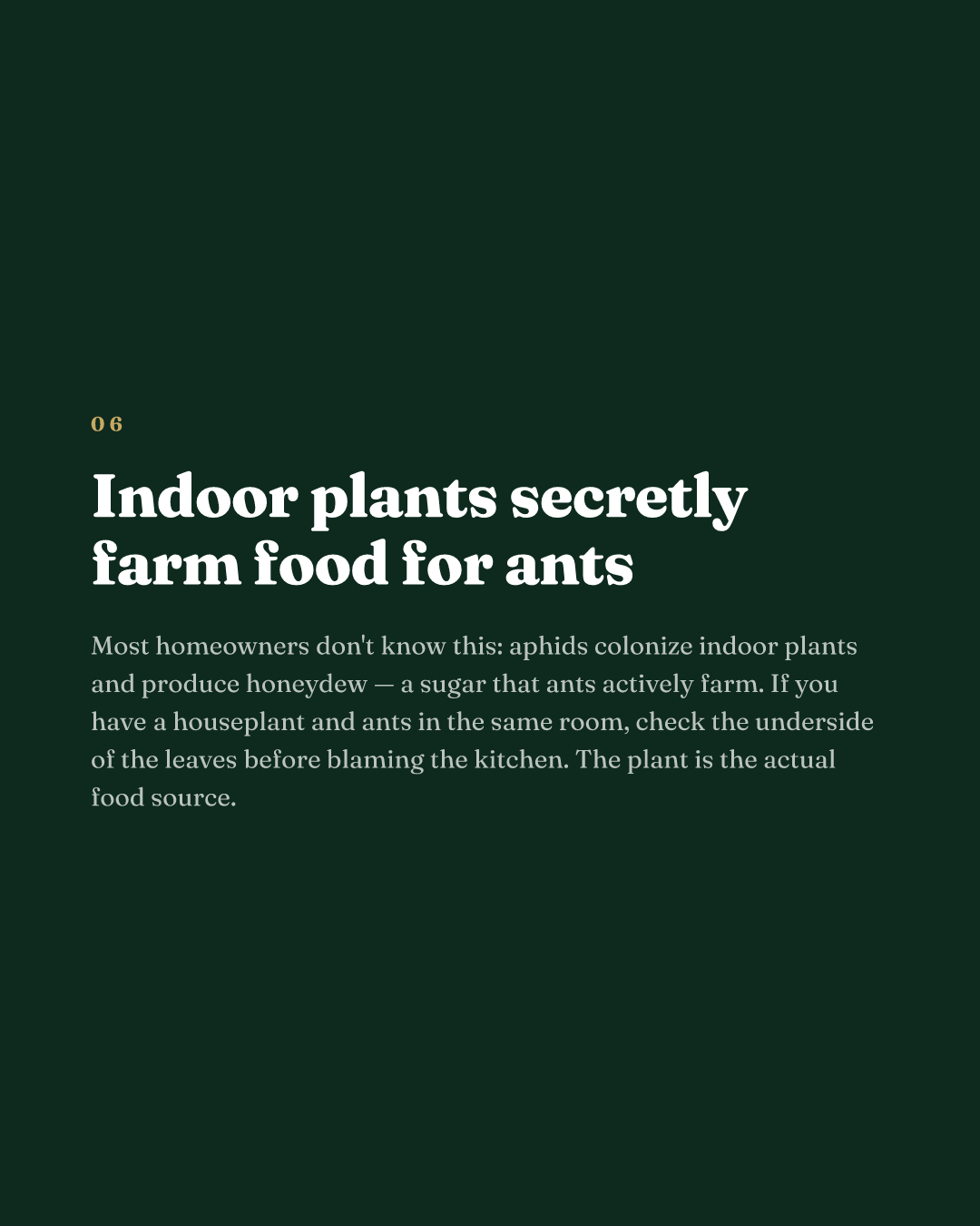 Indoor plants secretly farm food for ants