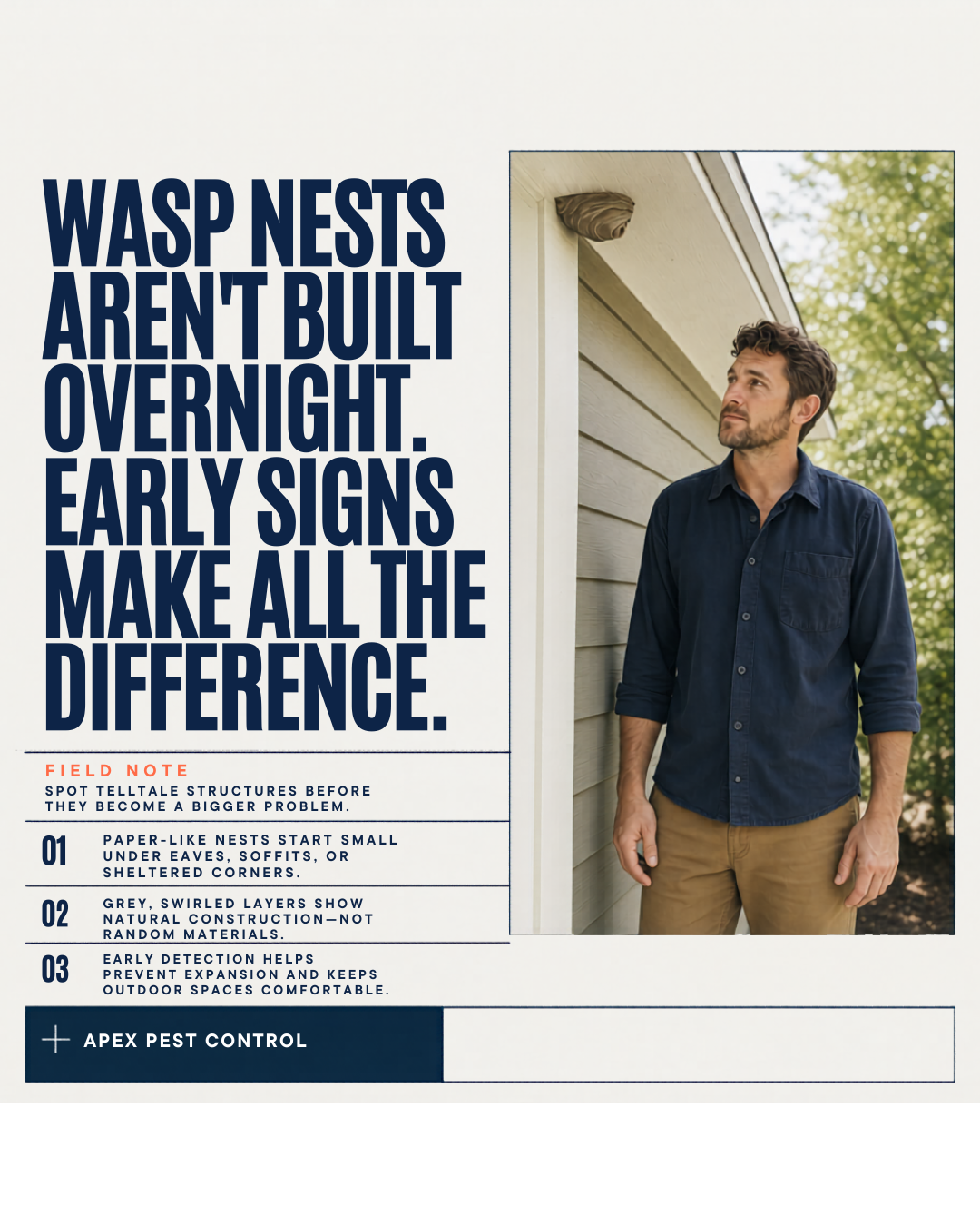 A wasp nest the size of a thumbnail in May is a softball by July. The papery nub under your soffit looks like nothing th