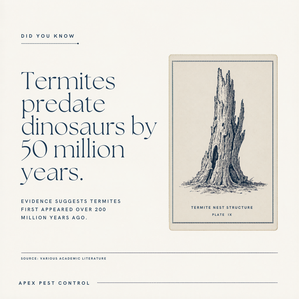 Termites are older than dinosaurs by a comfortable margin. They survived the asteroid, the ice ages, and every continent